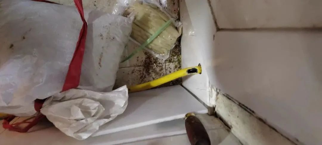 燃氣(qì)軟管被(bei)老鼠咬(yao)了個大(da)窟窿,竟(jìng)然……