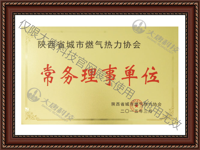 陝(shan)西省城(cheng)市燃氣(qi)熱力協(xié)會常務(wu)理事單(dān)位